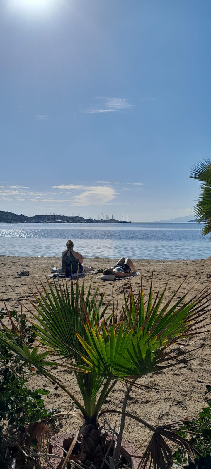 Bodrum’da kış mevsimi alışılmışın dışında bir tablo sunuyor. Türkiye’nin birçok