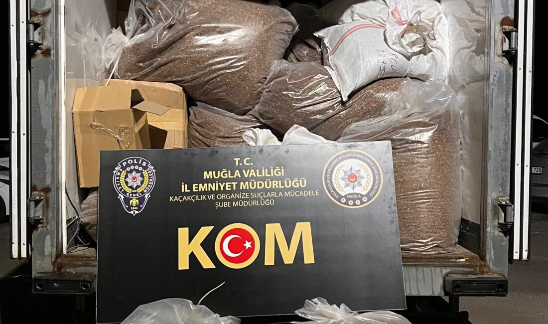 Dalaman ve Ortaca’da Kaçak Tütün Operasyonu Muğla Emniyet Müdürlüğü ekipleri tarafından düzenlenen operasyonda piyasa değeri yaklaşık