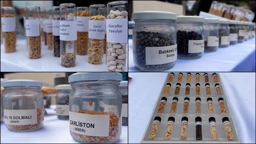 Tarım ve Orman Bakanı İbrahim Yumaklı, ata tohumlarının Şubat 2025'ten