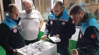 Muğla'nın Bodrum ilçesinde, denizlerde sürdürülebilir balıkçılığı sağlamak amacıyla yapılan denetimlerde