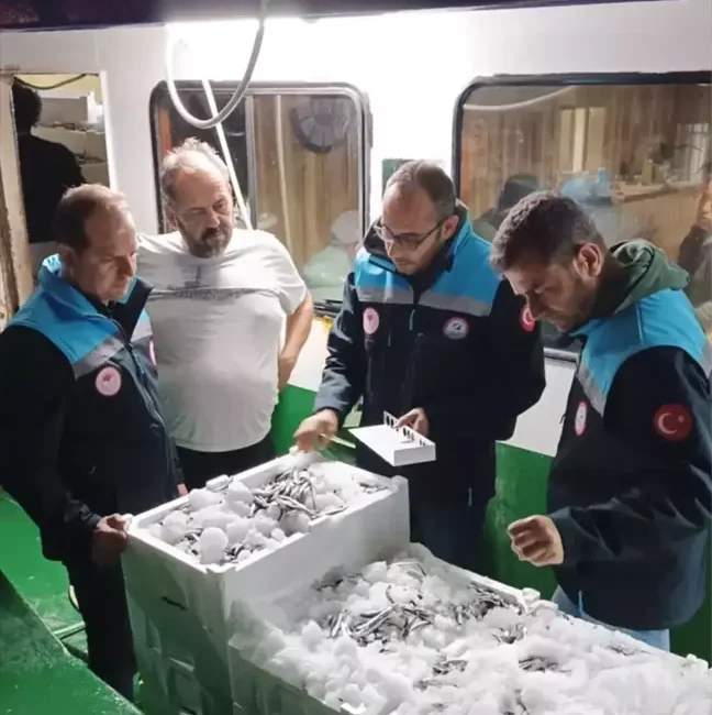 Bodrum’da Balıkçılık Denetimleri Sıkılaştırıldı Muğla'nın Bodrum ilçesinde, denizlerde sürdürülebilir balıkçılığı sağlamak amacıyla yapılan denetimlerde