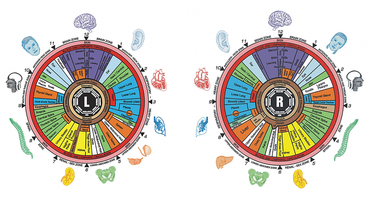 Bodrum'da gözle hastalık tespiti yaparak bitkisel yöntemlerle tedavi sunan Yılmaz
