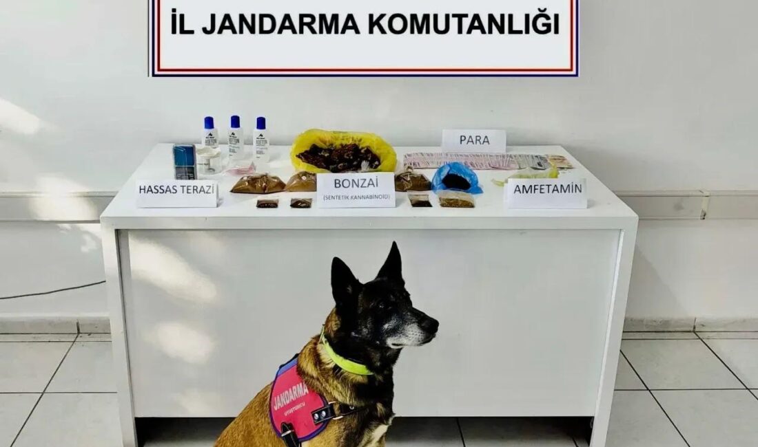 Turgutreis’te Uyuşturucu Operasyonu Bodrum İlçe Jandarma ekipleri, Turgutreis Mahallesi’nde bir apartta düzenledikleri operasyonda