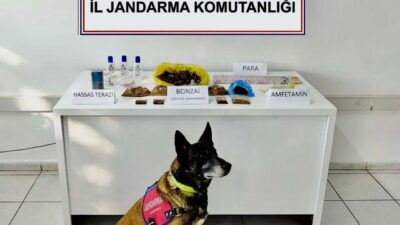 Bodrum İlçe Jandarma ekipleri, Turgutreis Mahallesi’nde bir apartta düzenledikleri operasyonda