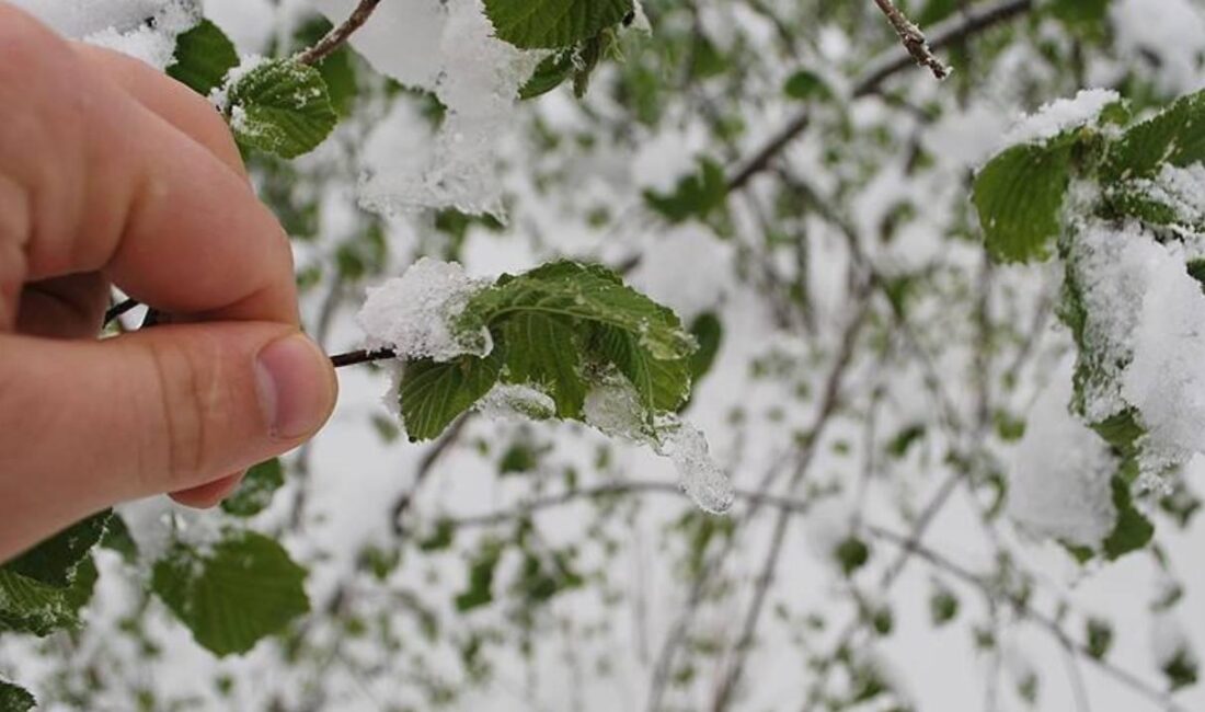 Meteoroloji 4. Bölge Müdürlüğü tarafından yapılan açıklamaya göre, Muğla’nın sahil
