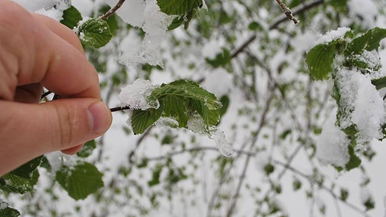 Meteoroloji 4. Bölge Müdürlüğü tarafından yapılan açıklamaya göre, Muğla’nın sahil