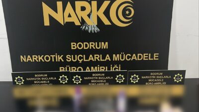 17 operasyonda uyuşturucu madde ve silah ele geçirilirken, 6 kişi