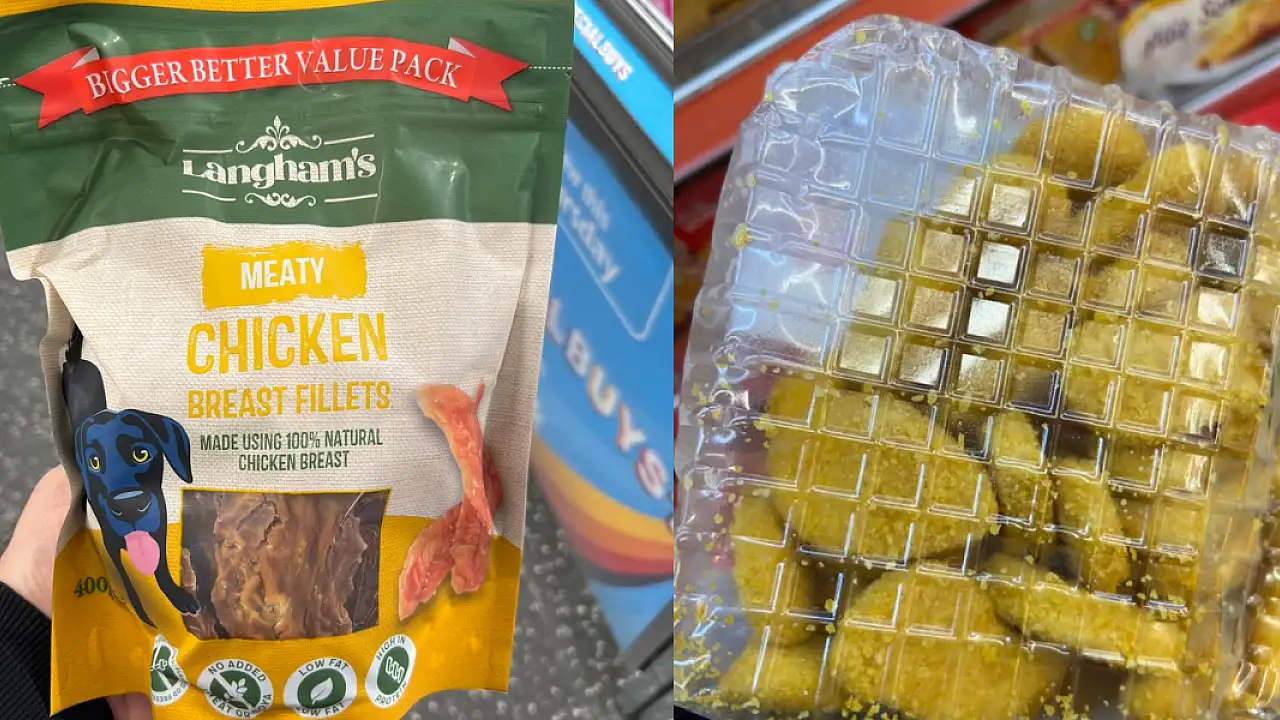 İngiltere’de satılan köpek mamalarında tavuk eti oranı %93’e kadar çıkarken,