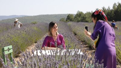 Muğla Büyükşehir Belediyesi'nin Yeniköy'de hayata geçirdiği Koku Vadisi Projesi'nde lavanta