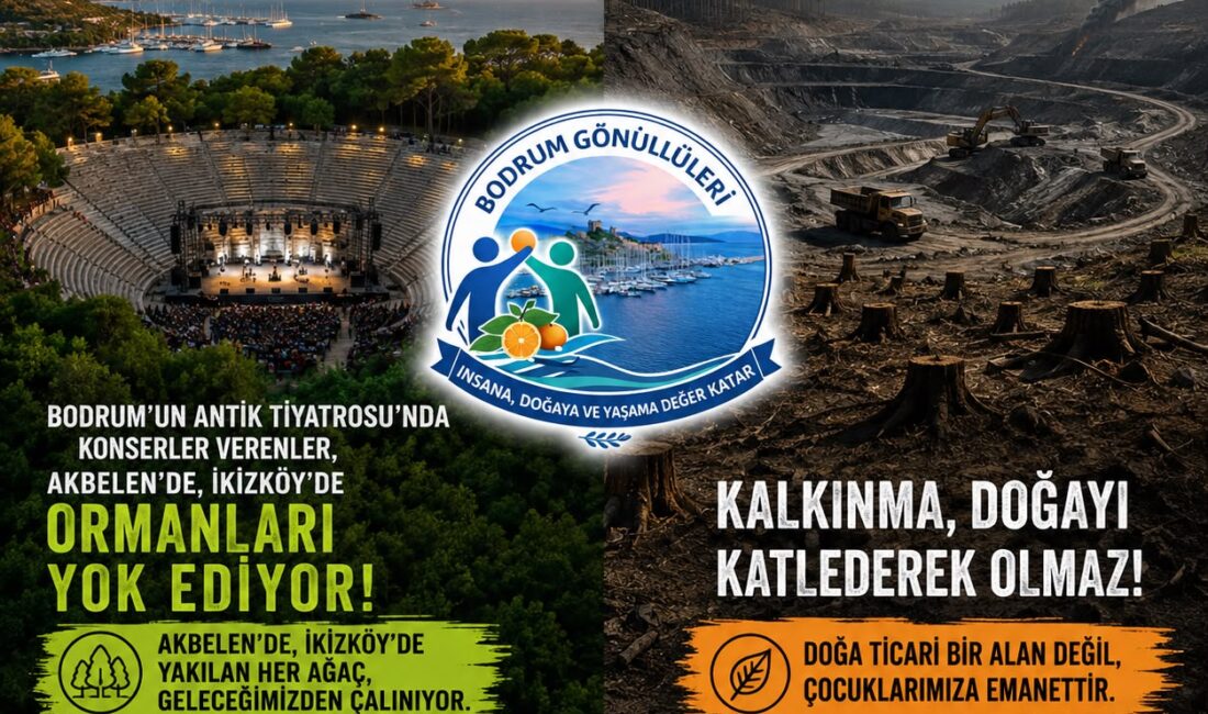 Bodrum Gönüllüleri, Limak'ın konserini ormanların yok edilmesine tepki olarak sorguladı.