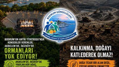 Bodrum Gönüllüleri, Limak'ın konserini ormanların yok edilmesine tepki olarak sorguladı.